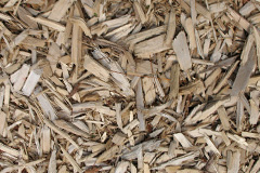 biomass boilers Calcoed